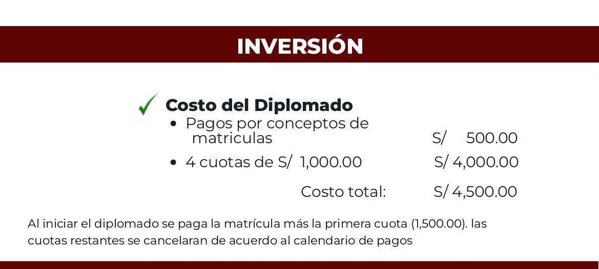 BROCHURE Diplomado PMP 2026 1 INVERSION
