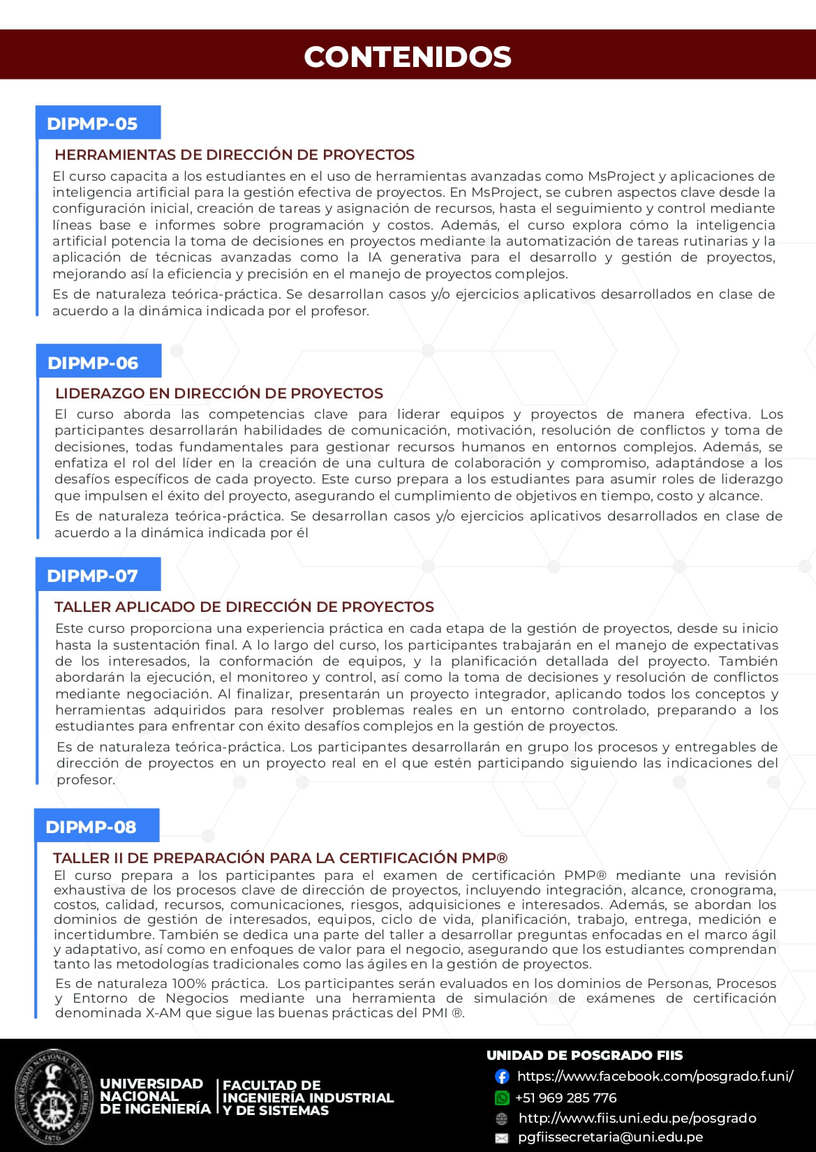 BROCHURE Diplomado PMP 2026 1 PE2
