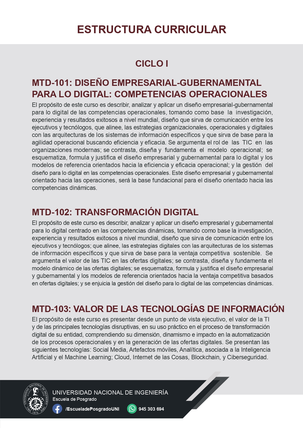 MTD MAESTRIA EN TRANSFORMACION DIGITAL 2024 page 0006